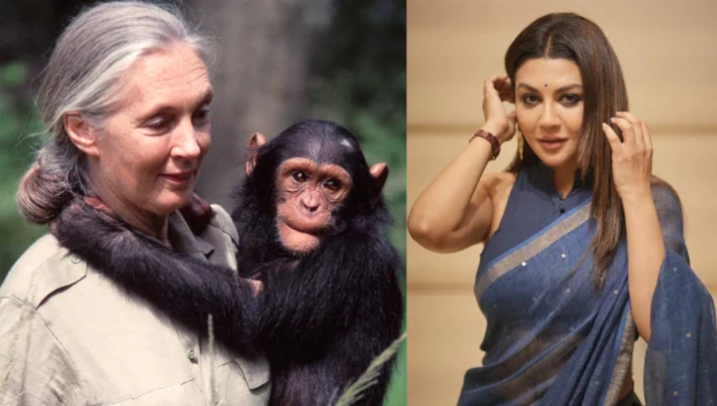 Sogish mashinalari aks ettirilgan porno videolar