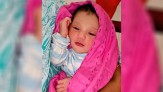 Image description