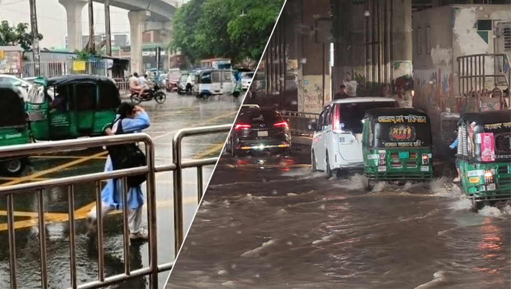 Image description