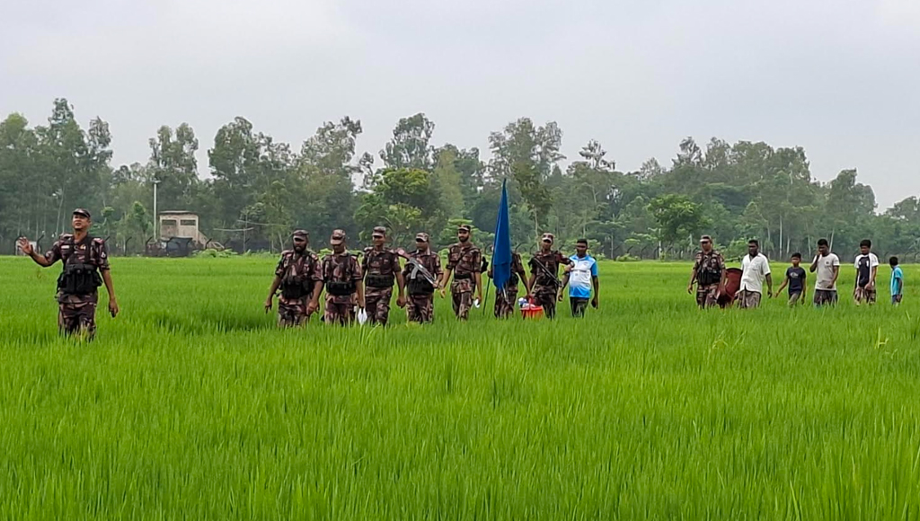 Image description